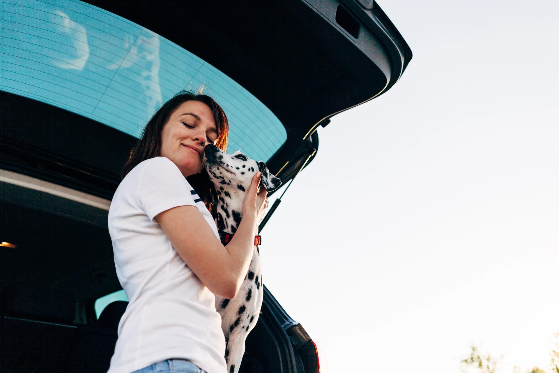 viaggiare in auto con il cane
