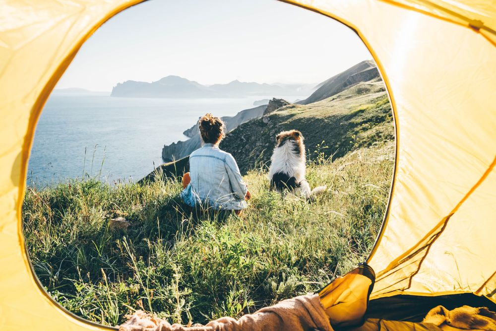 Donna che riposa con un cane godendosi il panorama da una montagna