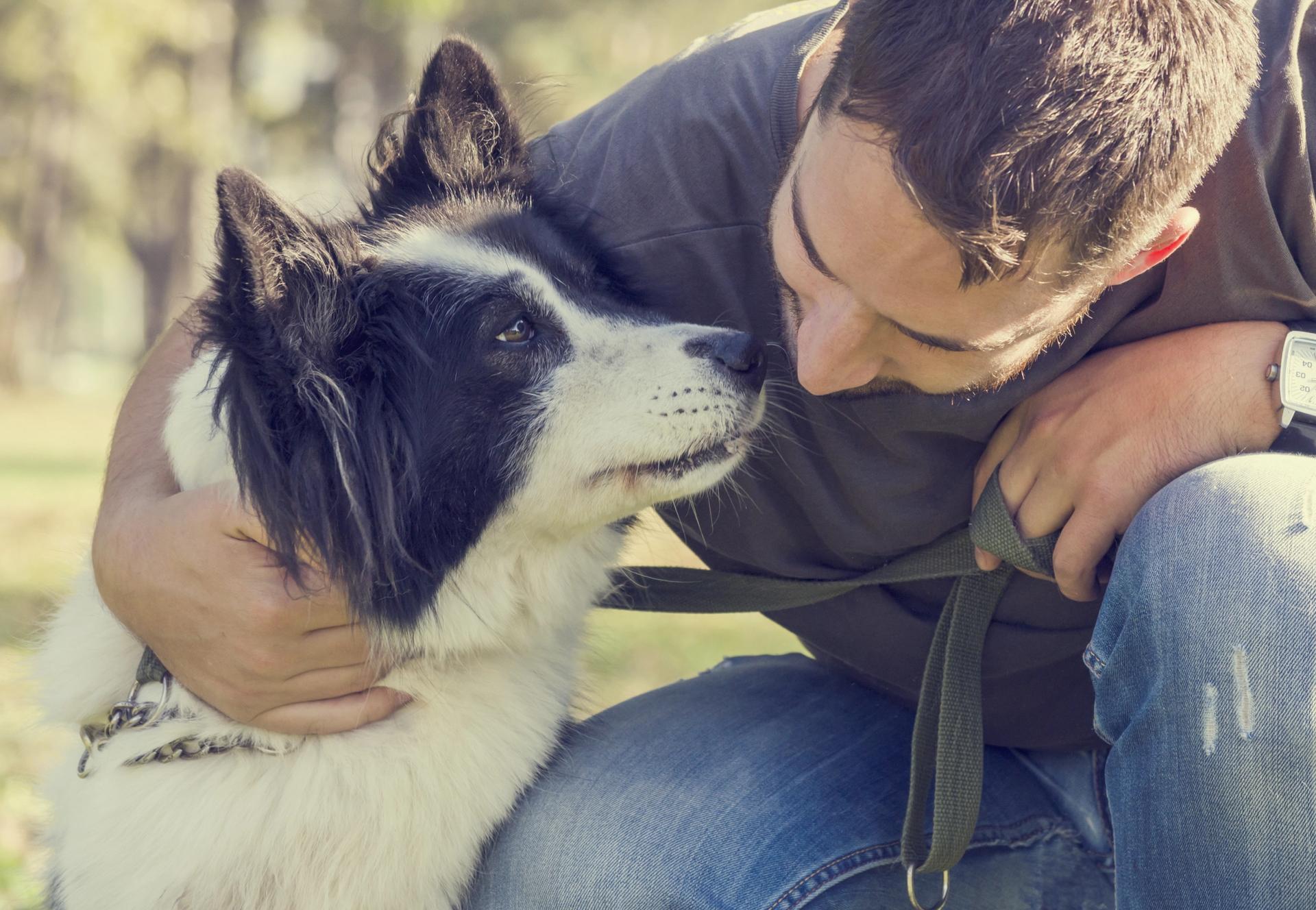 scambio sguardi tra cane e padrone