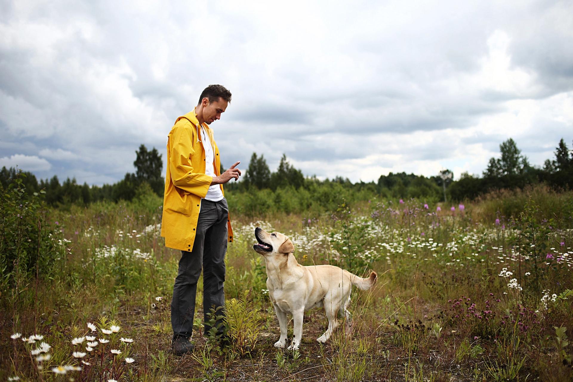 uomo addestra il cane a non allontanarsi