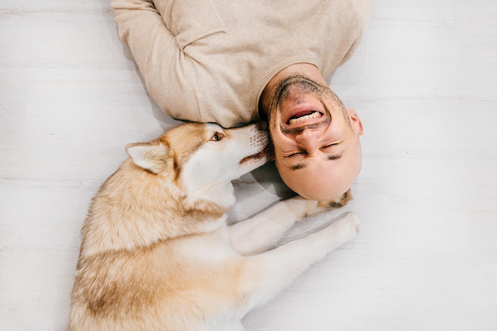 uomo felice con il suo cane husky siberiano a casa