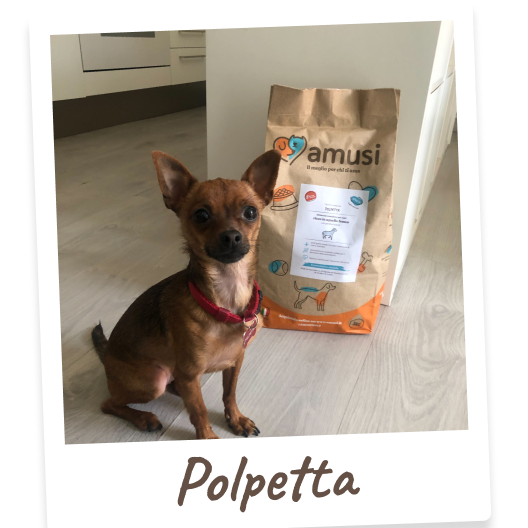 Foto di Polpetta, cane che mangia i prodotti amusi