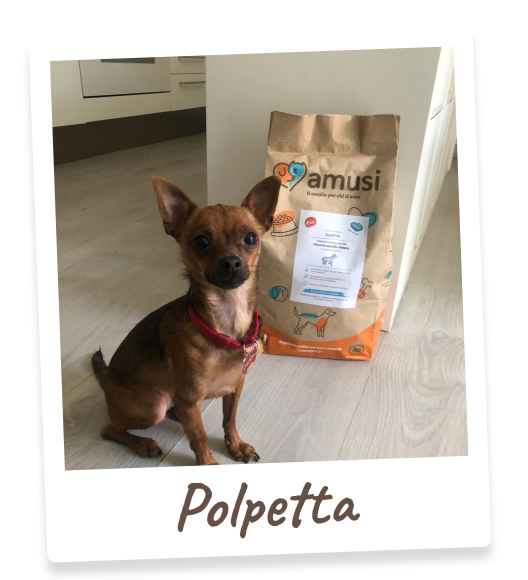Foto di Polpetta, cane che mangia i prodotti amusi