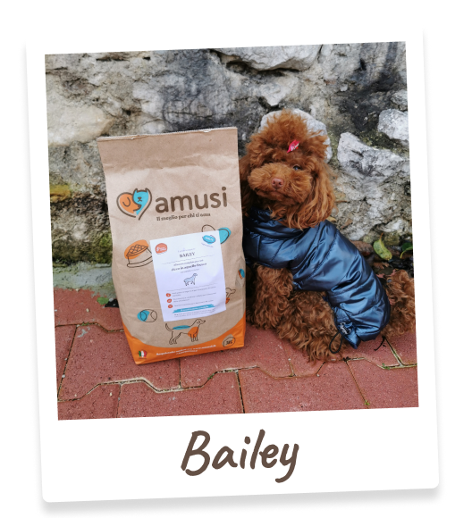 Foto di Bailey, cane che mangia i prodotti amusi