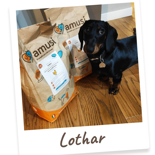 Foto di Lothar, cane che mangia i prodotti amusi