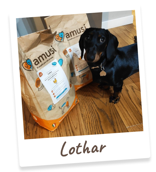 Foto di Lothar, cane che mangia i prodotti amusi