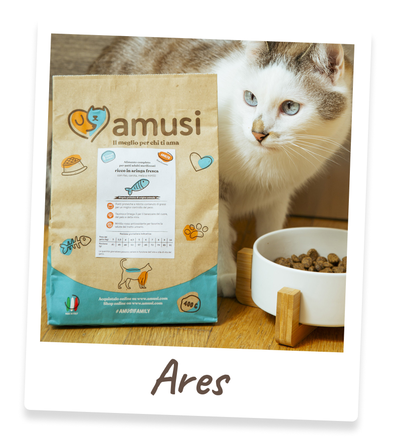 Foto di Ares, gatto che mangia i prodotti amusi