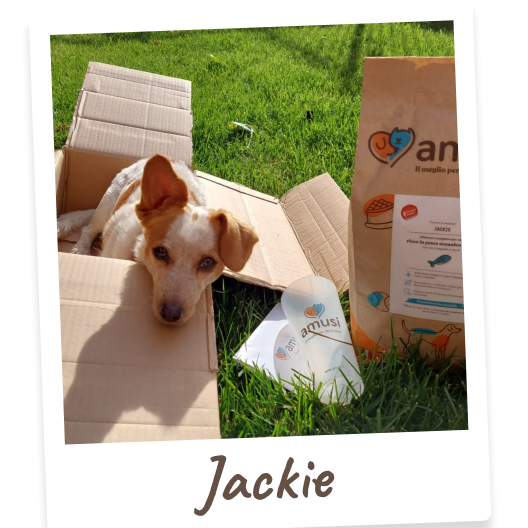Foto di Jackie, cane che mangia i prodotti amusi