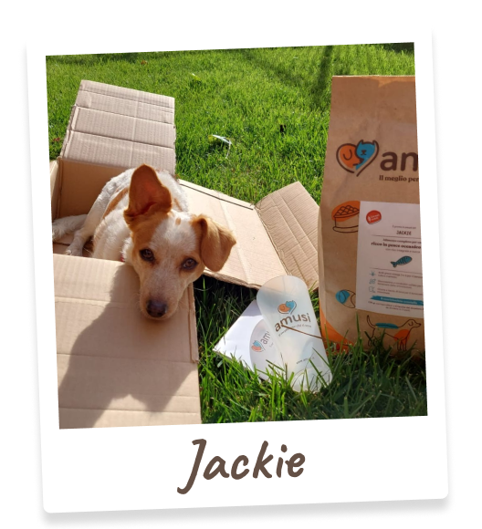 Foto di Jackie, cane che mangia i prodotti amusi