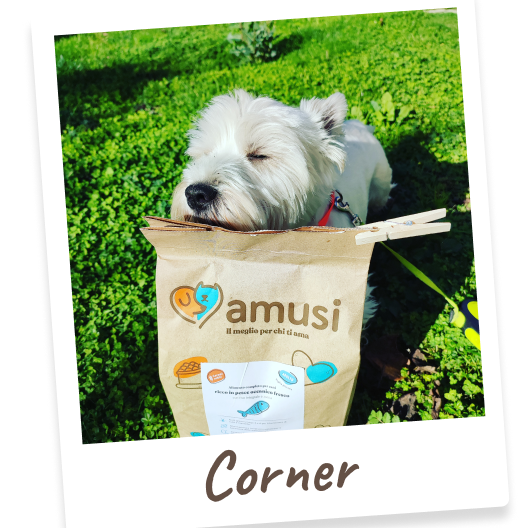 Foto di Corner, cane che mangia i prodotti amusi