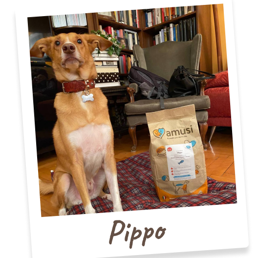 Foto di Pippo, cane che mangia i prodotti amusi