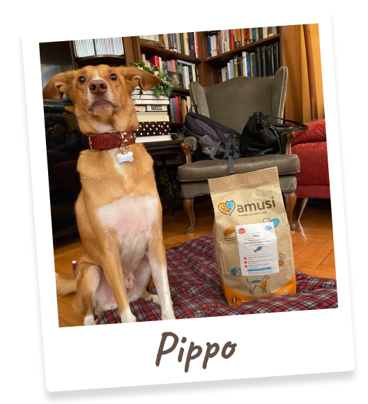 Foto di Pippo, cane che mangia i prodotti amusi