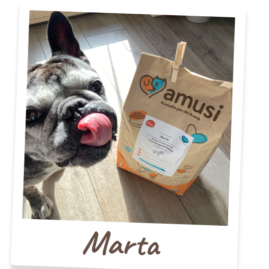 Foto di Marta, cane che mangia i prodotti amusi