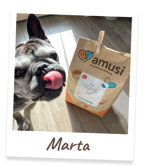 Foto di Marta, cane che mangia i prodotti amusi