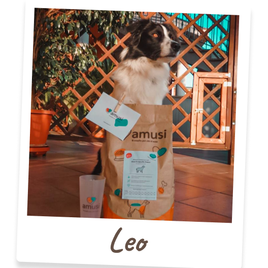 Foto di Leo, cane che mangia i prodotti amusi