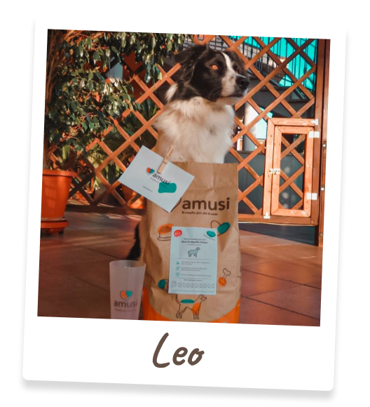 Foto di Leo, cane che mangia i prodotti amusi