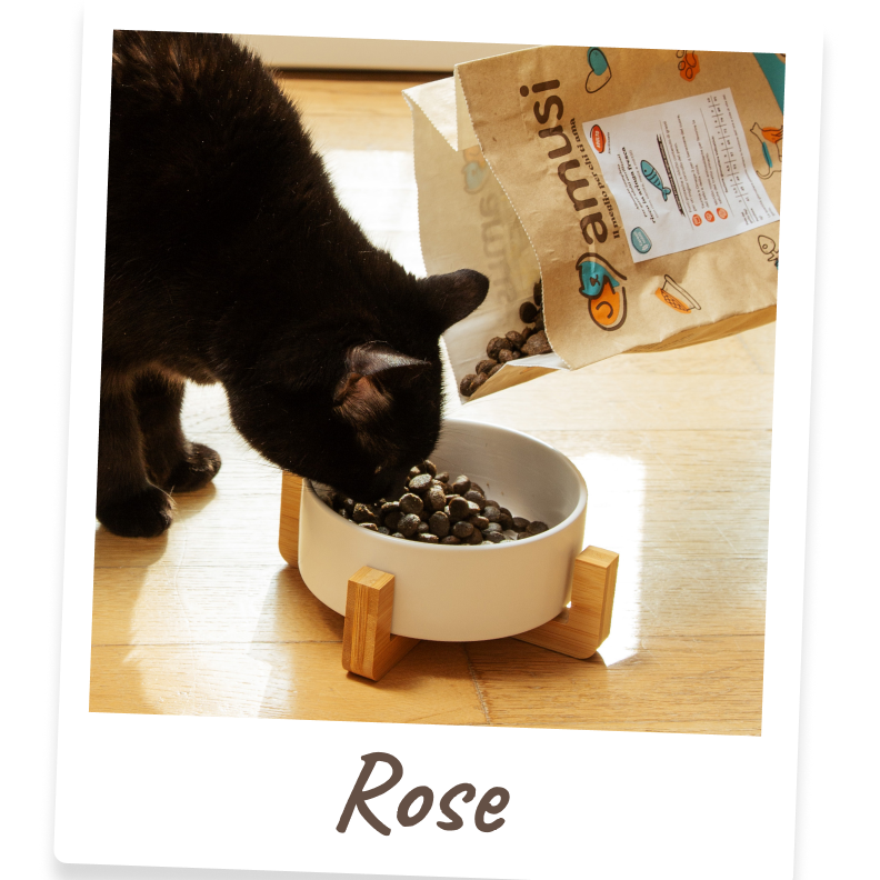 Foto di Rose, gatto che mangia i prodotti amusi