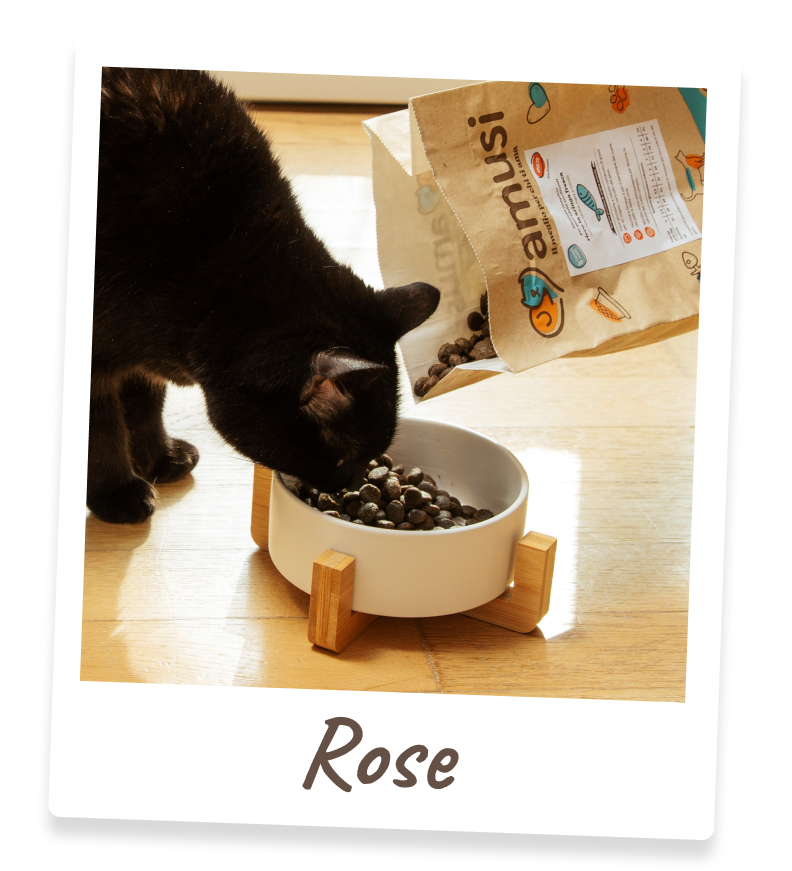Foto di Rose, gatto che mangia i prodotti amusi