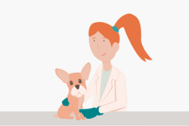 veterinaria visita cane illustrazione