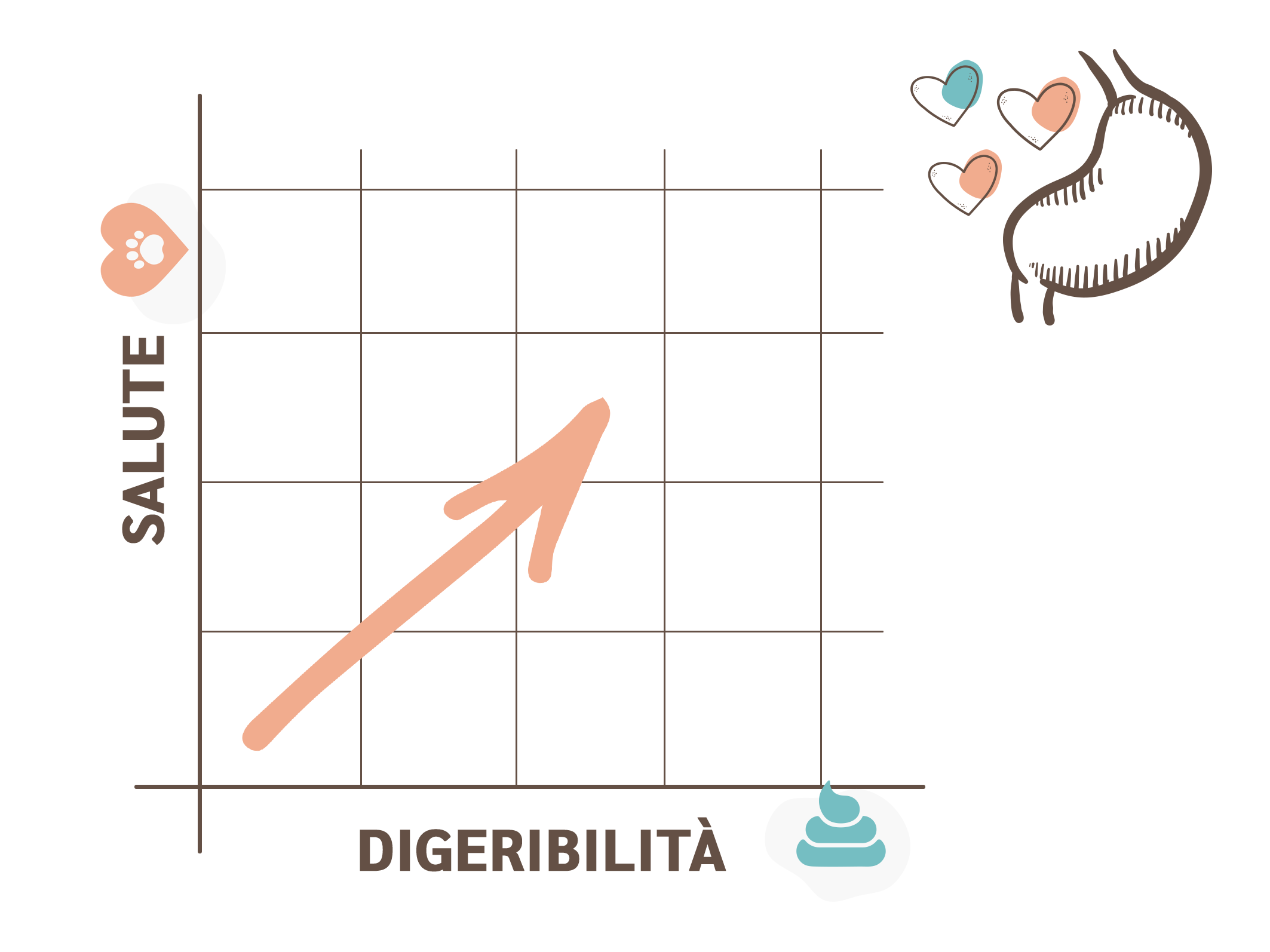 grafico che raffigura il livello di digeribilità delle crocchette amusi