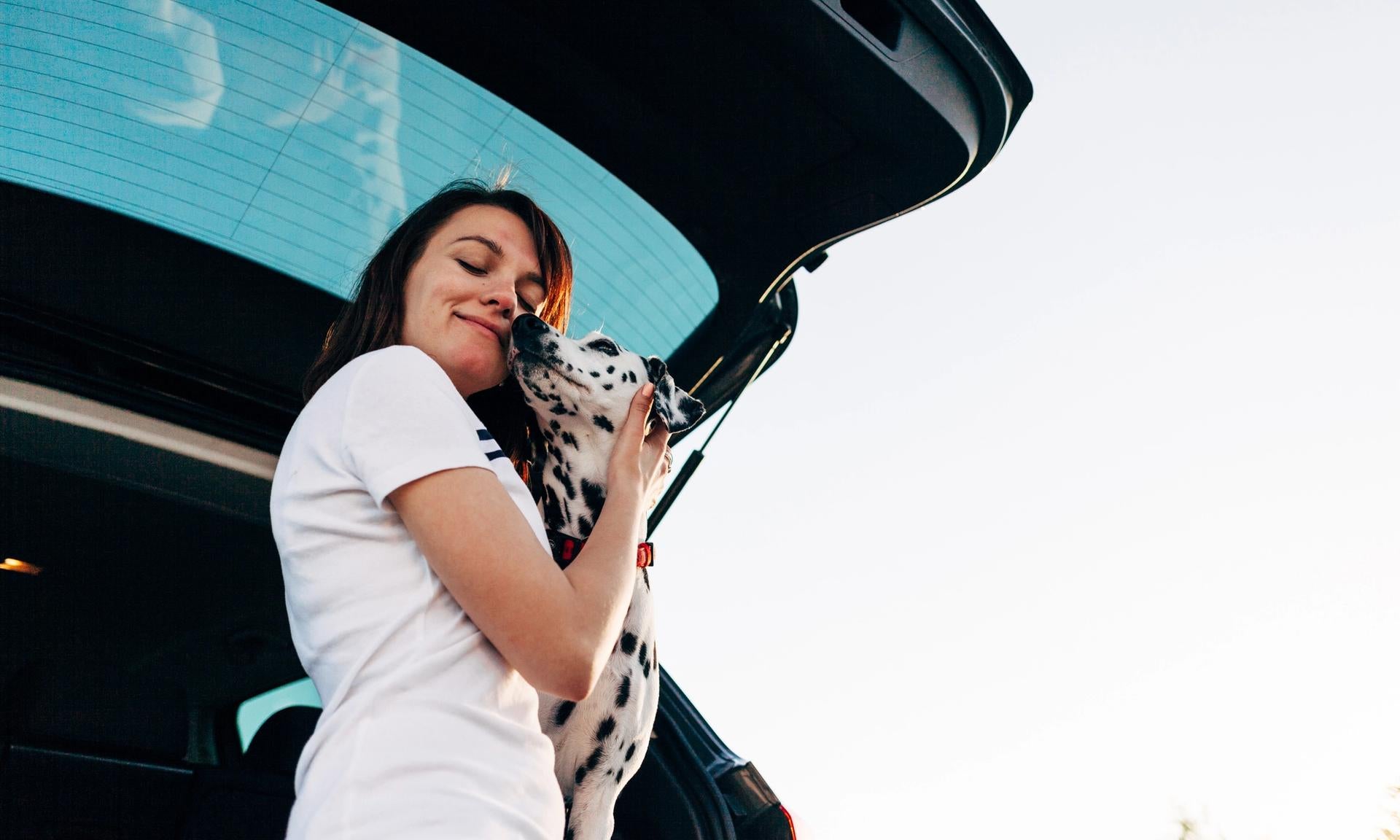 viaggiare in auto con il cane