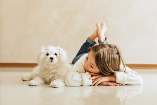 maltese e bambina sdraiati sul pavimento