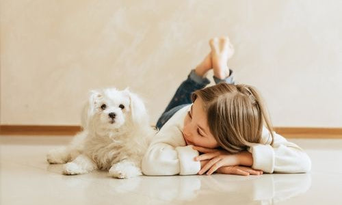 maltese e bambina sdraiati sul pavimento