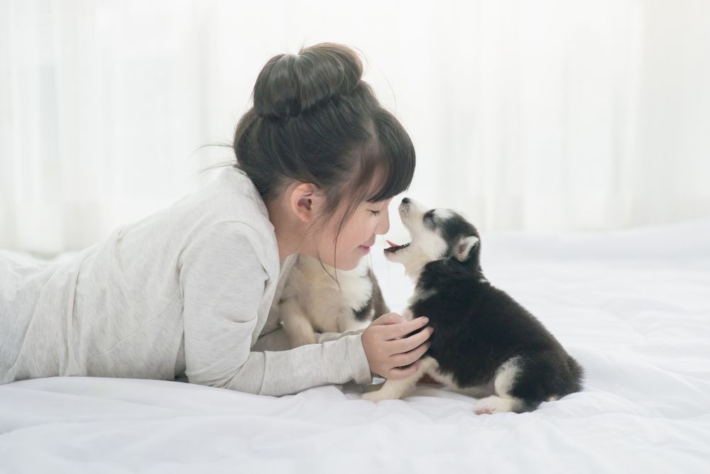 ragazza asiatica sdraiata sul letto con un cucciolo di cane con la bocca spalancata davanti al suo naso