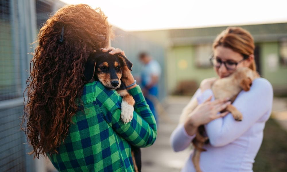 due ragazze abbracciano due cuccioli di cane al canile