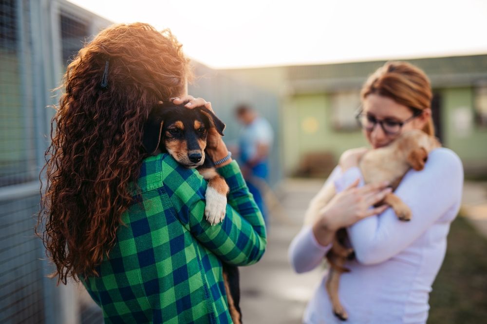 due ragazze abbracciano due cuccioli di cane al canile
