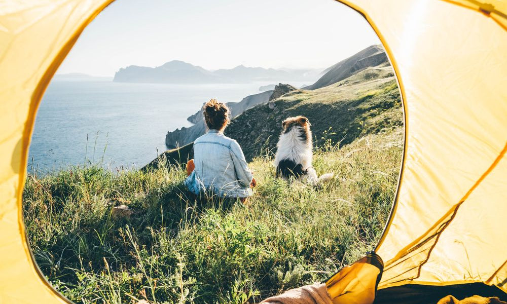 Donna che riposa con un cane godendosi il panorama da una montagna