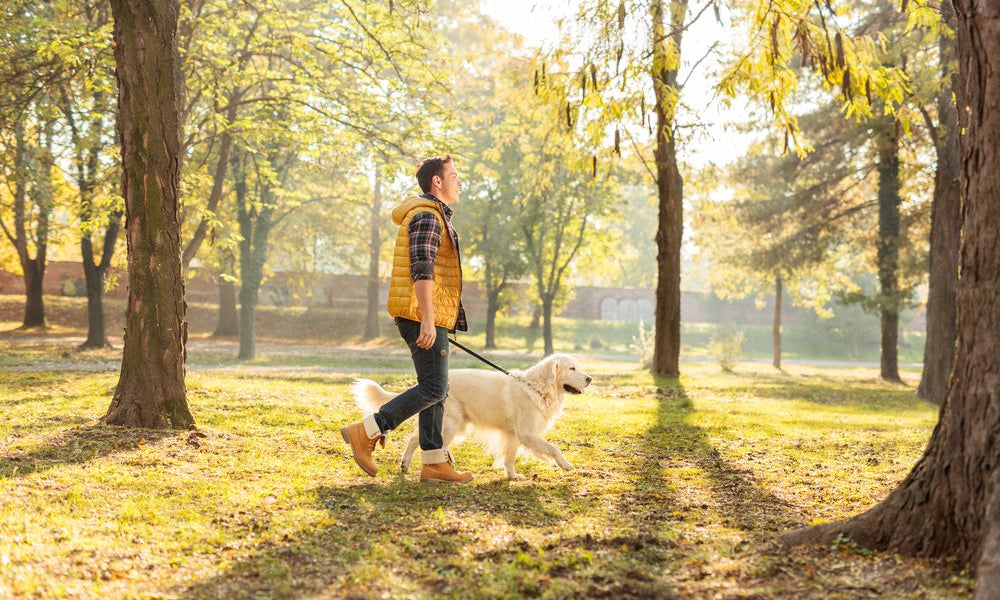 uomo e cane passeggiano in mezzo al parco con guinzaglio