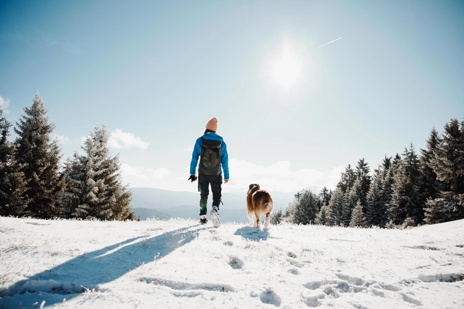 Donna e cane Australian Shepherd passeggiano sul una montagna innevata 