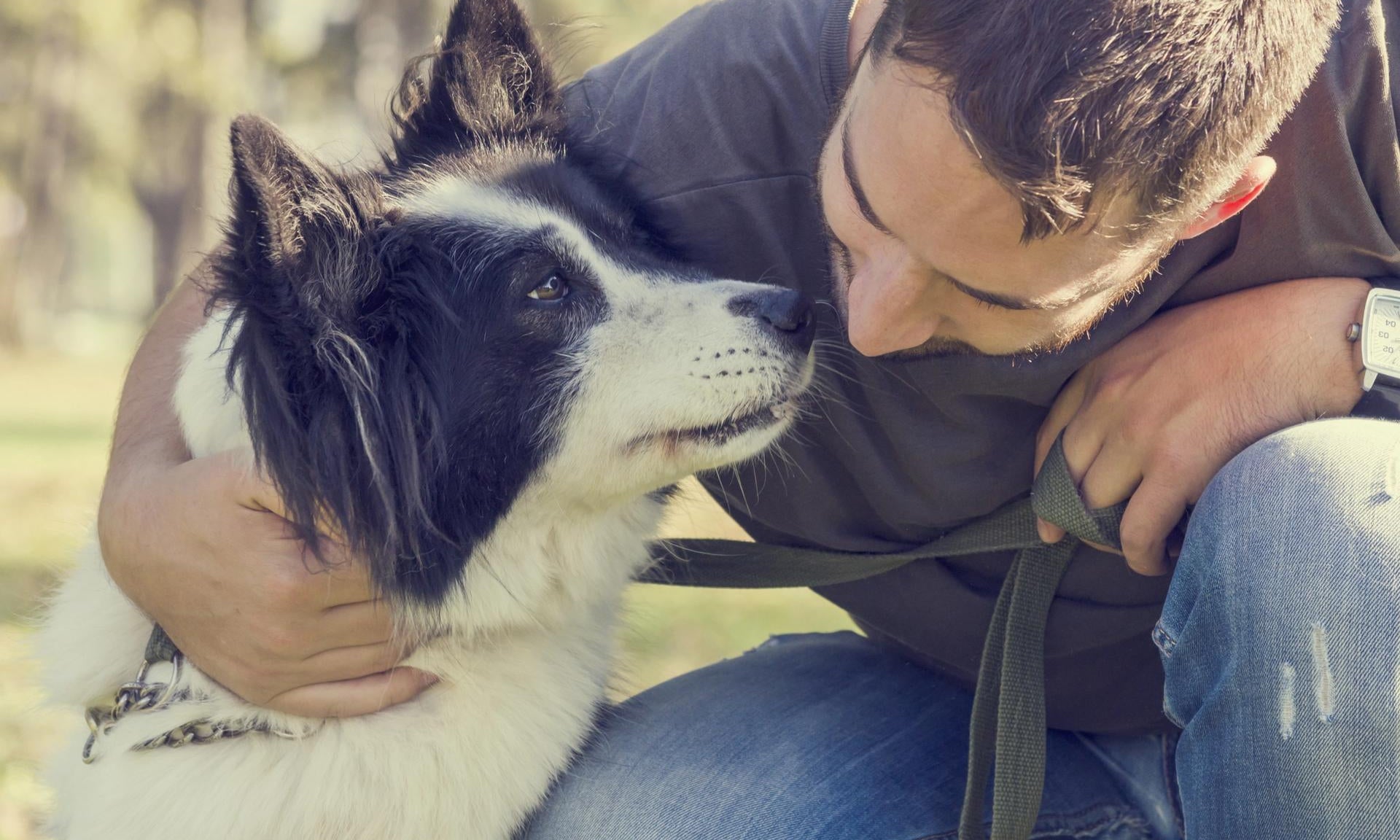 scambio sguardi tra cane e padrone