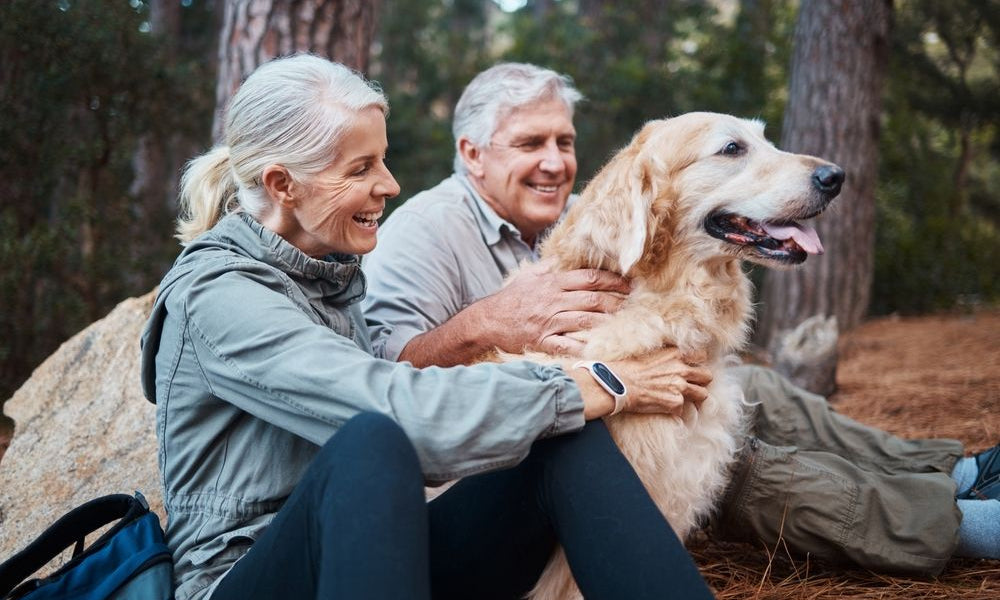 coppia di anziani in un parco con un golden retriever