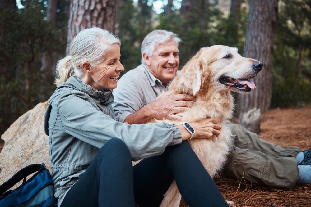 coppia di anziani in un parco con un golden retriever