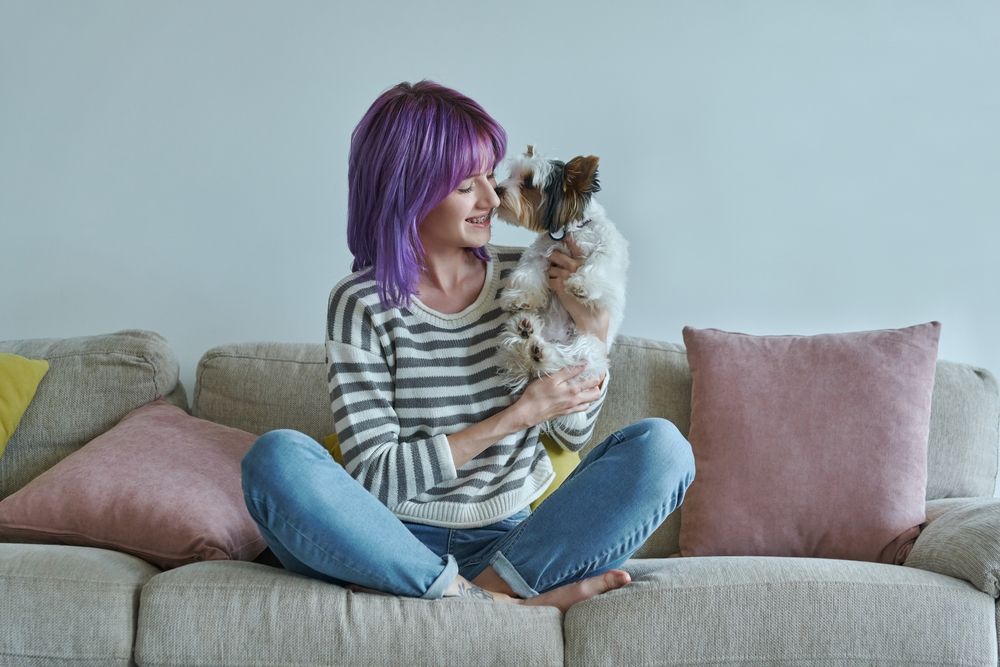 ragazza capelli viola sul divano con yorkshire