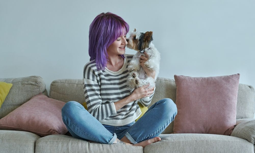 ragazza capelli viola sul divano con yorkshire