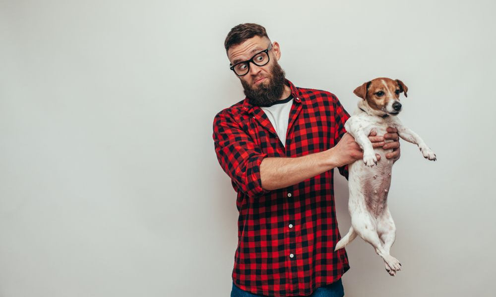 padrone tiene in braccio jack russell con faccia disgustata 
