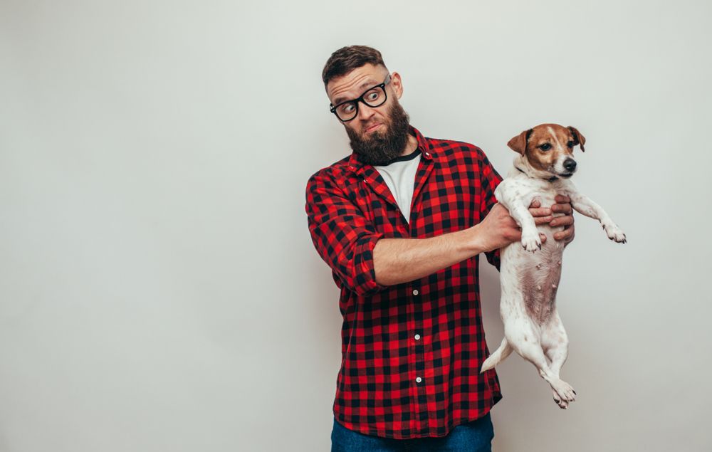 padrone tiene in braccio jack russell con faccia disgustata 