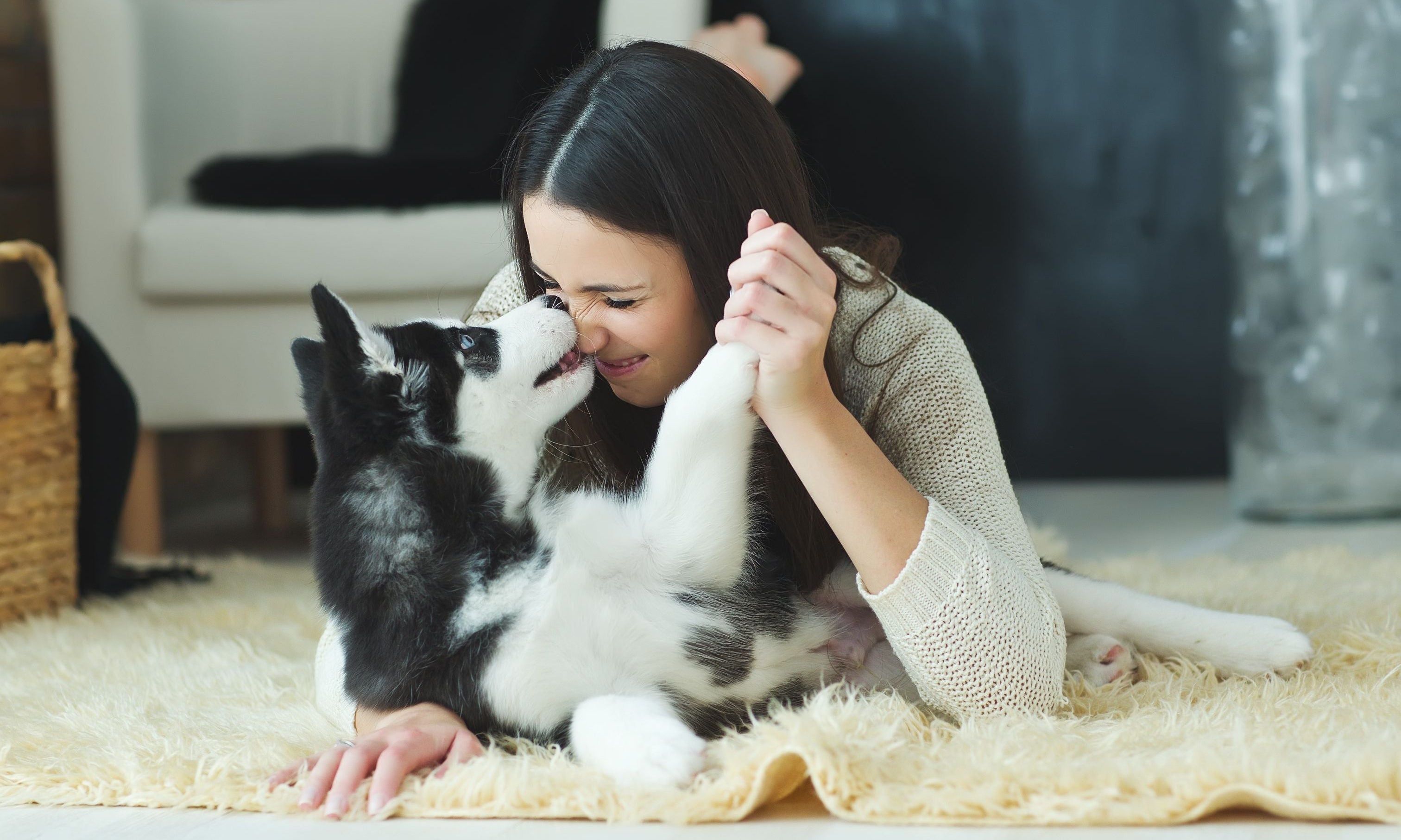 ritratto di donna con cane mentre si coccolano
