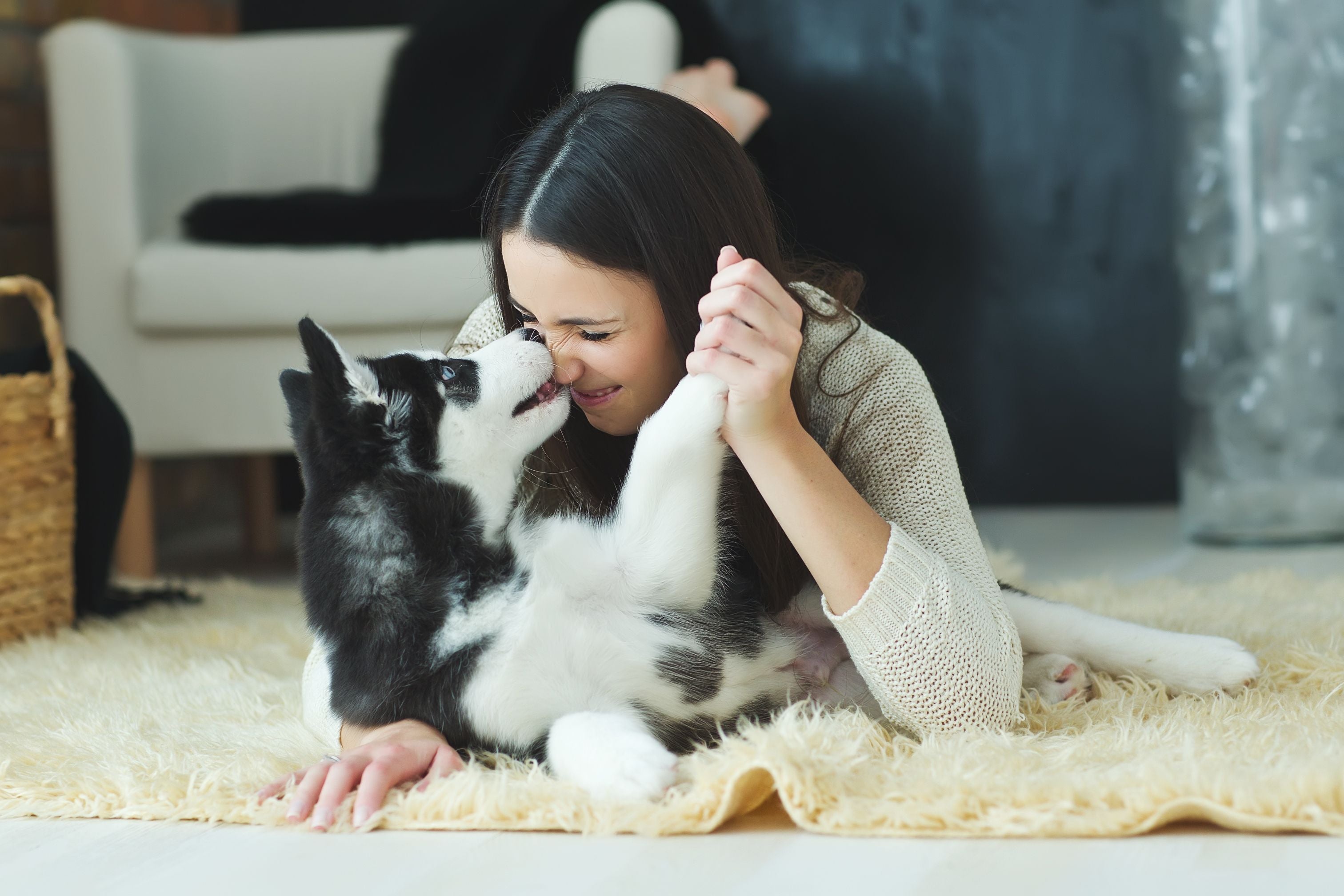 ritratto di donna con cane mentre si coccolano