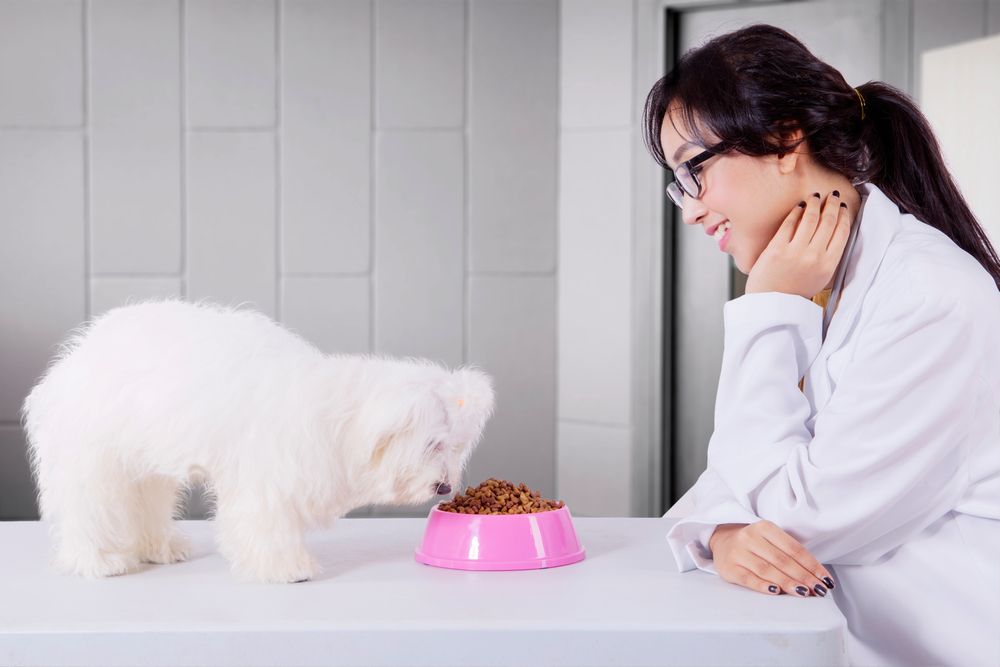 donna asiatica con bolognese che mangia dalla ciotola
