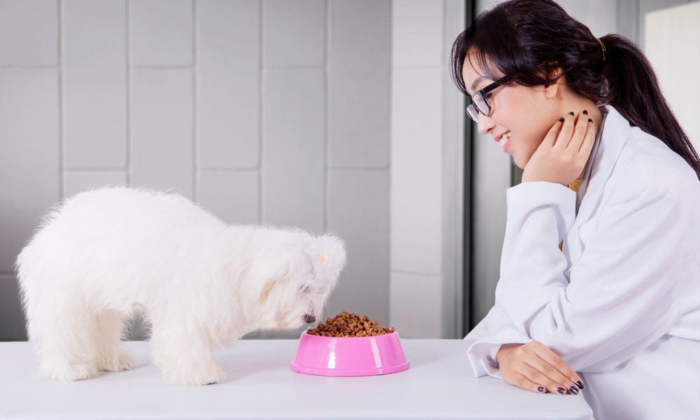 donna asiatica con bolognese che mangia dalla ciotola