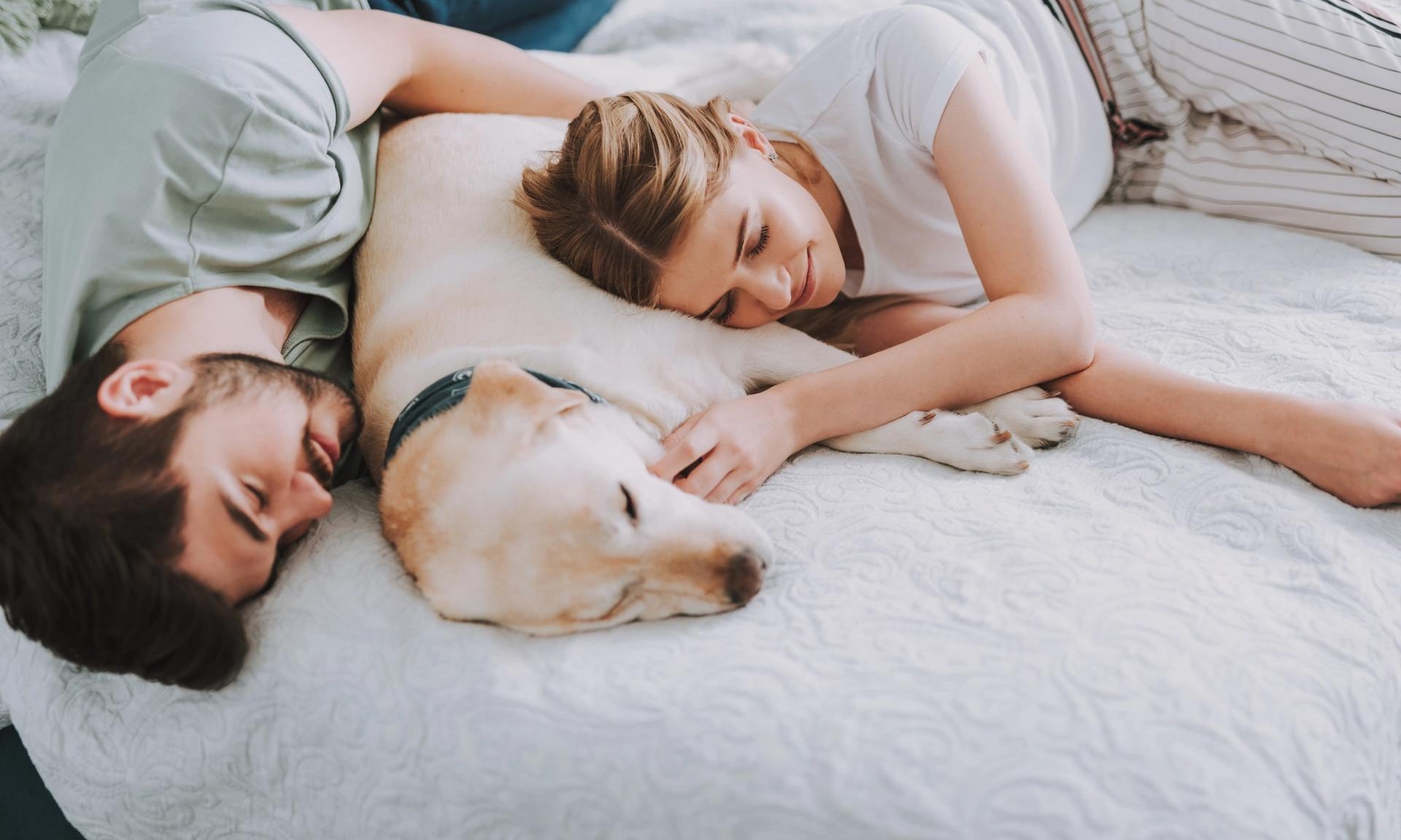 Coppia che dorme con il proprio cane a letto