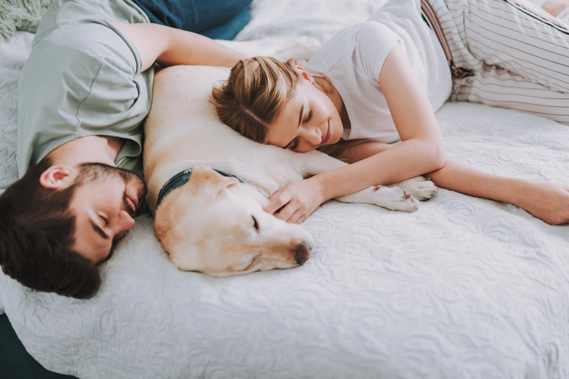 Coppia che dorme con il proprio cane a letto