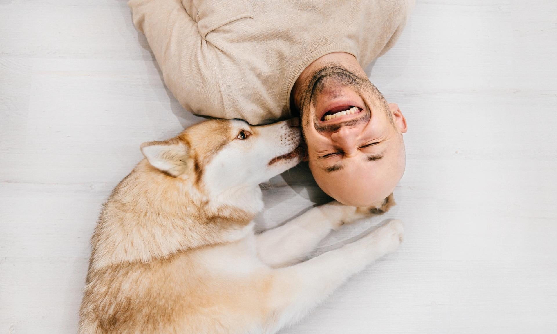 uomo felice con il suo cane husky siberiano a casa