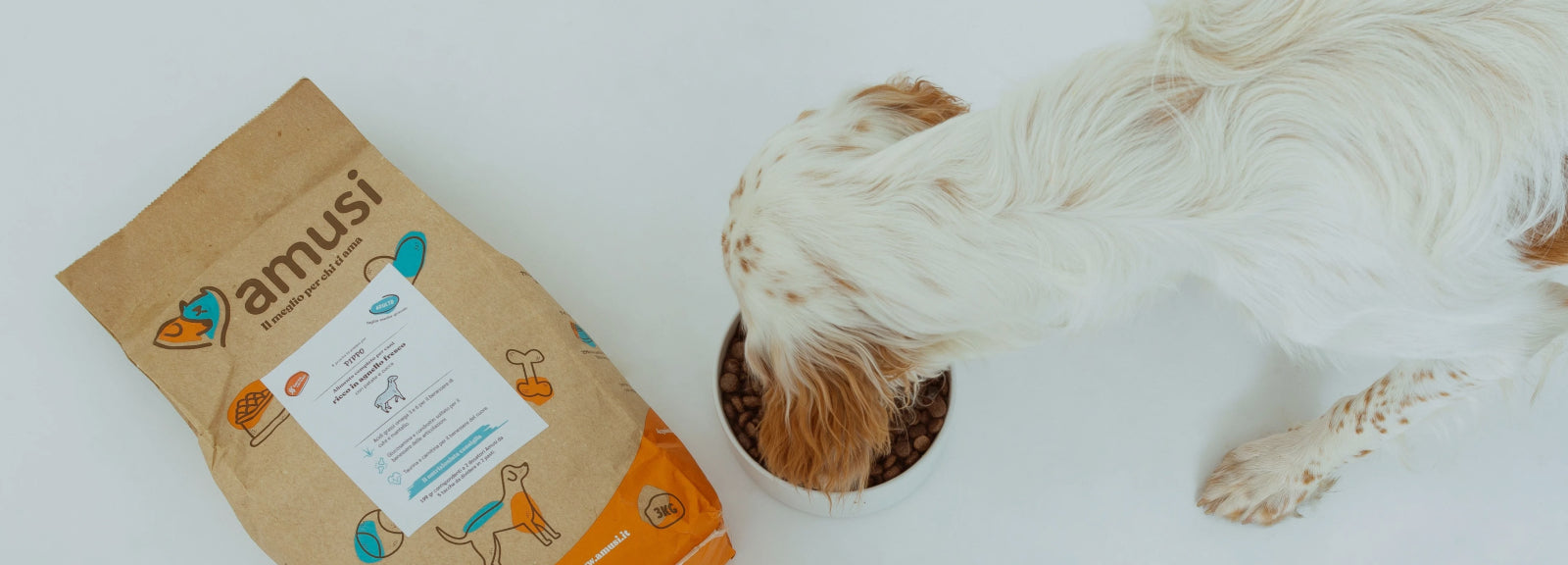 cane che mangia le sue crocchette dalla ciotola