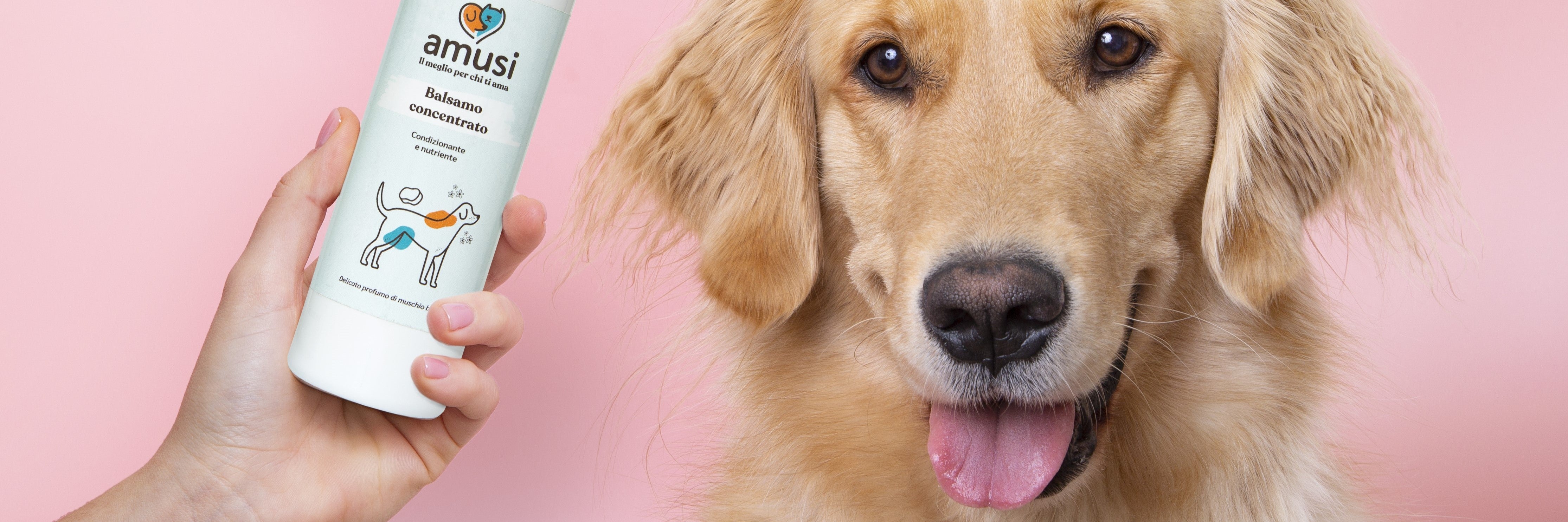 Muso di un cane felice affianco ad un balsamo per cani