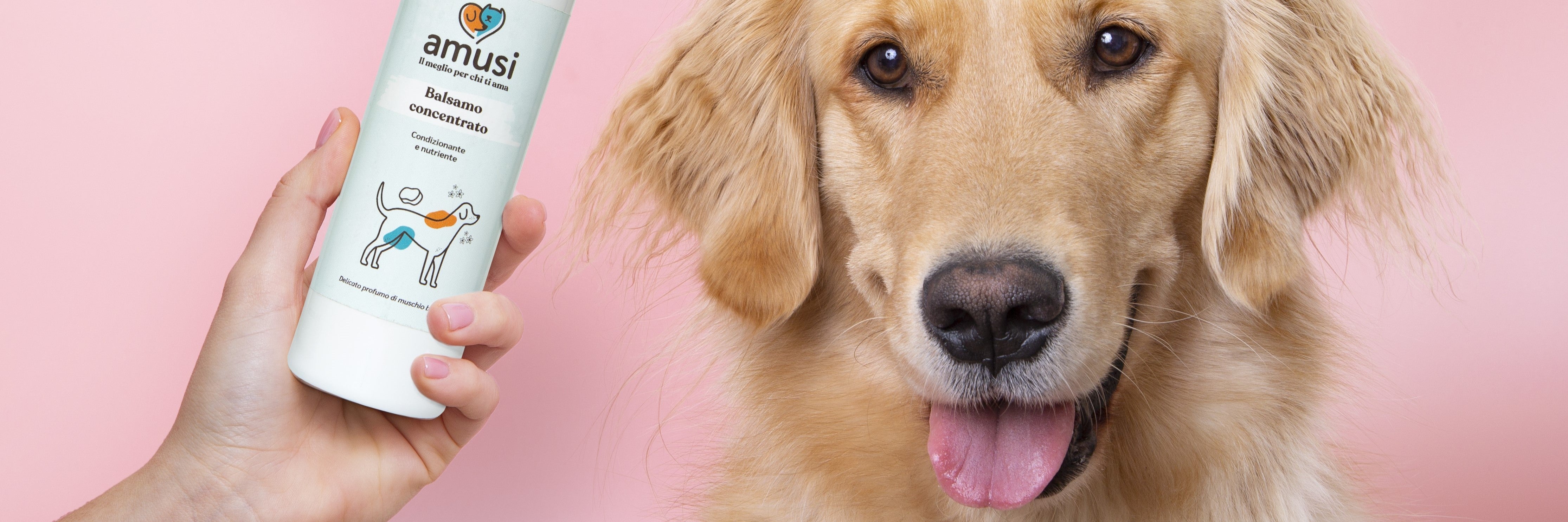 shampoo e balsami per cane